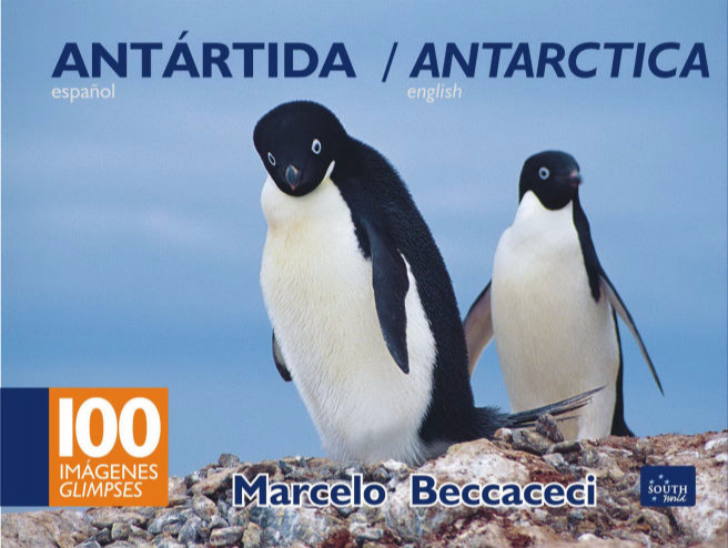 Antártida - 100 imágenes